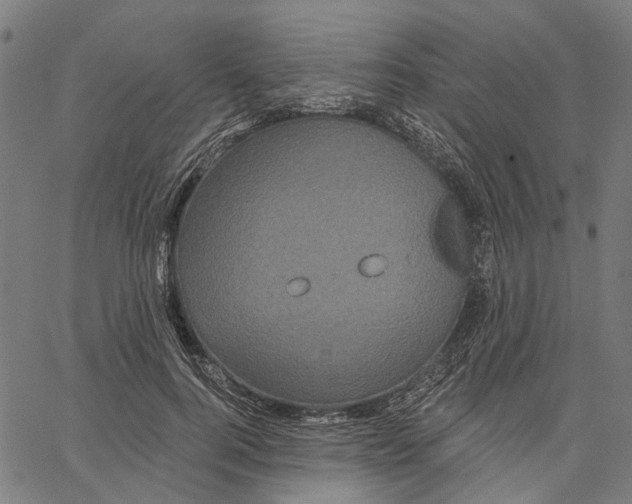 X0000062140744200601060923