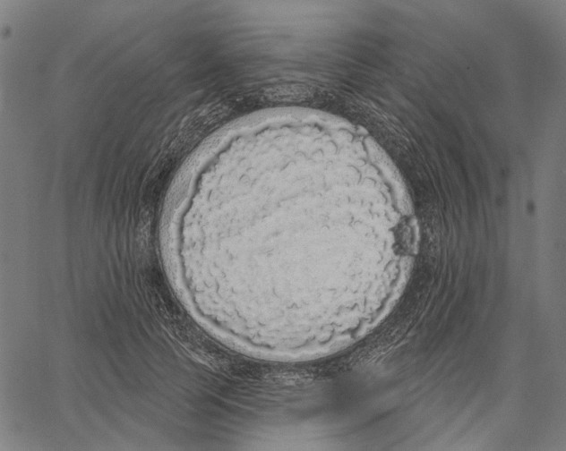 X0000062140745200601060923