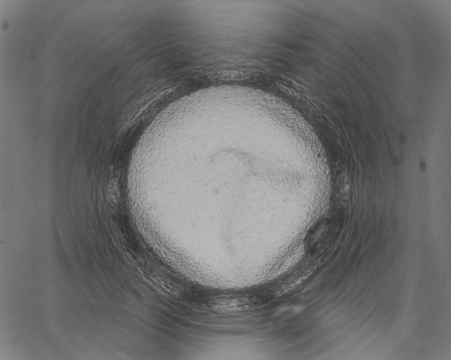 X0000062140746200601060923