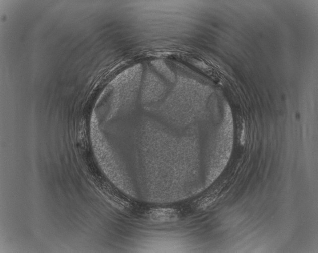 X0000062140748200601060923