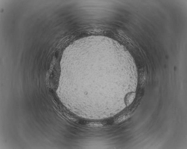 X0000062140749200601060923