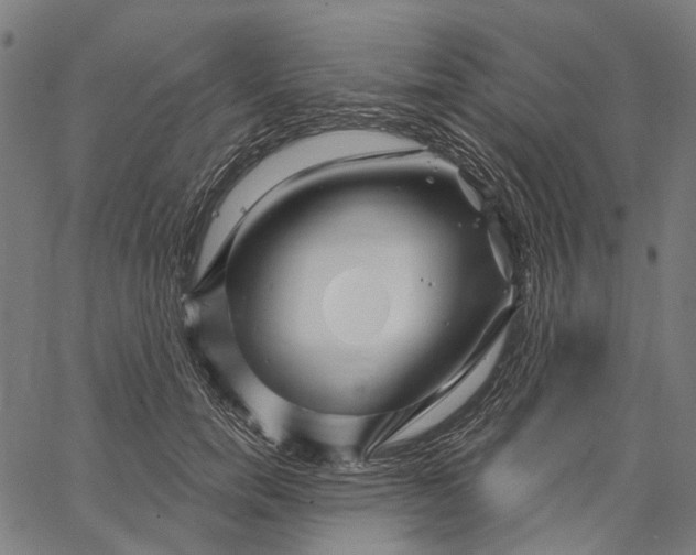 X0000062140750200601060923