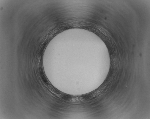 X0000062140752200601060923