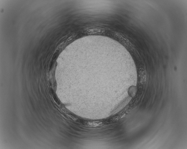 X0000062140753200601060923