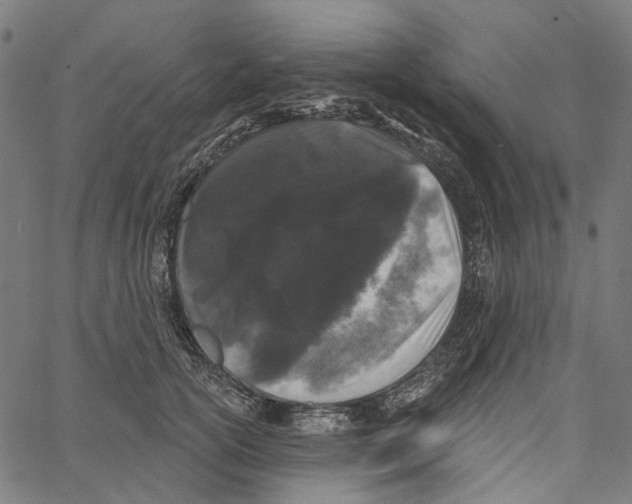 X0000062140754200601060923