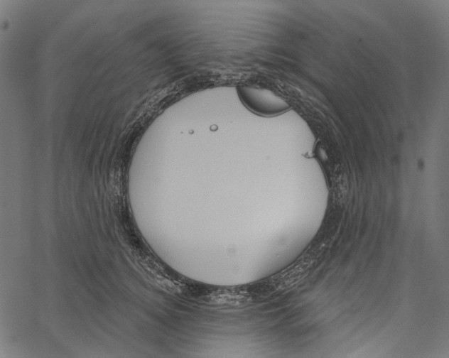 X0000062140756200601060923