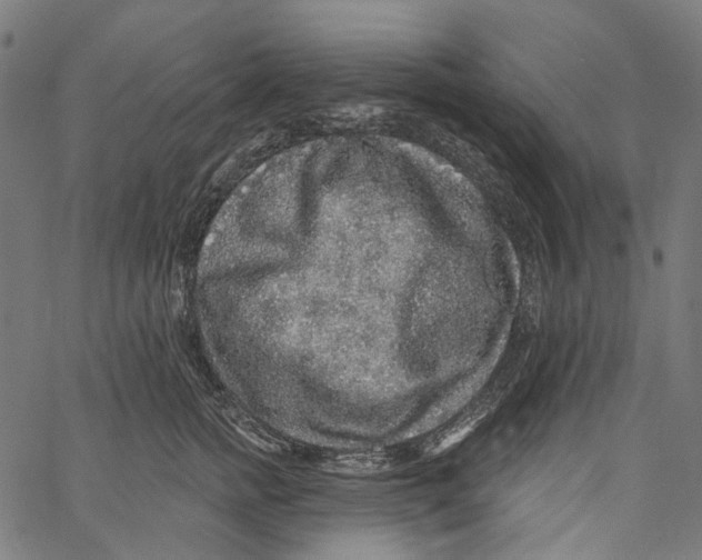 X0000062140758200601060923