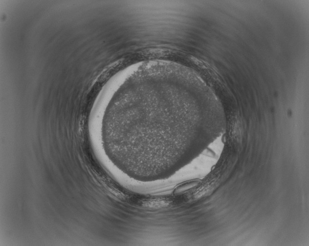 X0000062140759200601060923