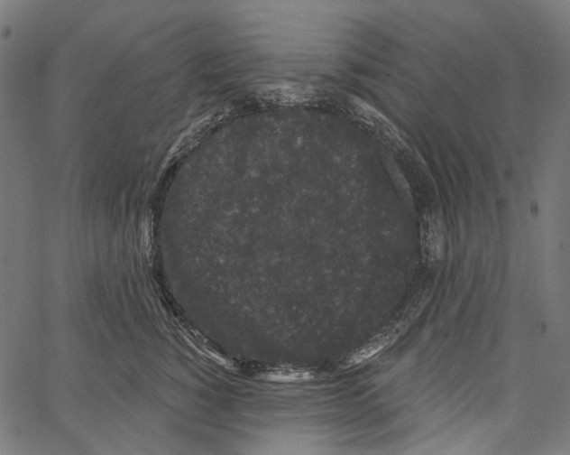 X0000062140760200601060923