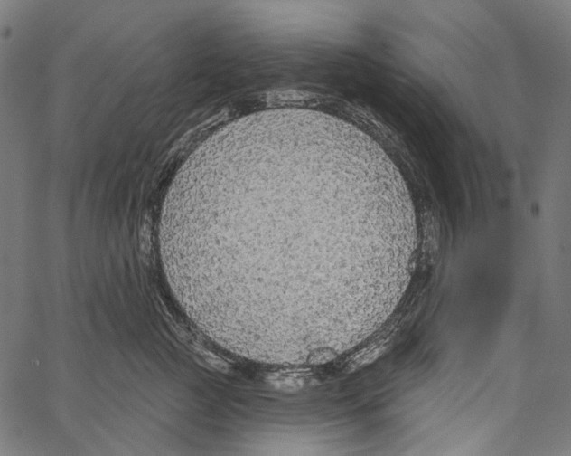 X0000062140761200601060923