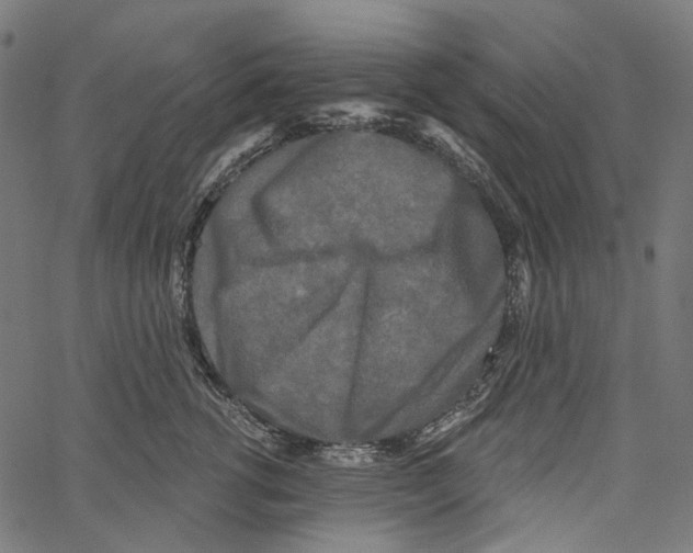 X0000062140762200601060923