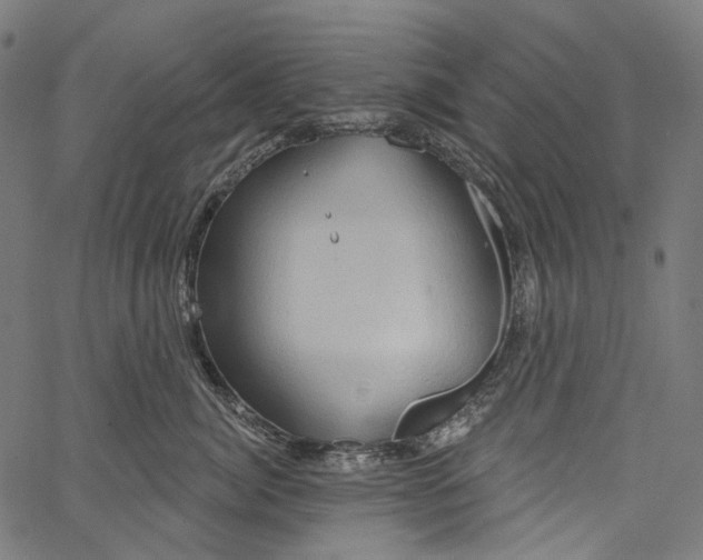 X0000062140764200601060923