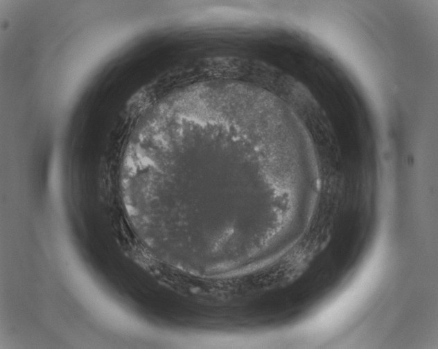 X0000062140765200601060923