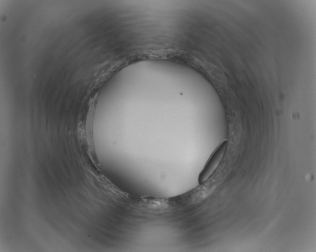 X0000062140768200601060923