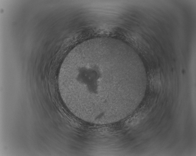 X0000062140769200601060922