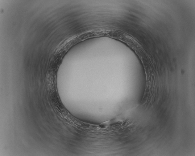 X0000062140773200601060922