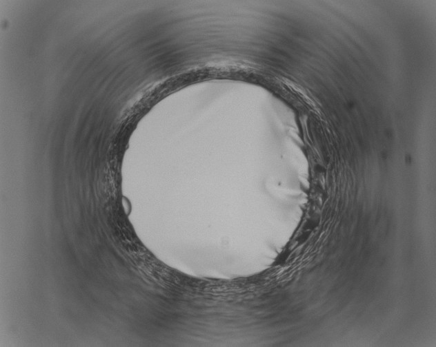 X0000062140776200601060922