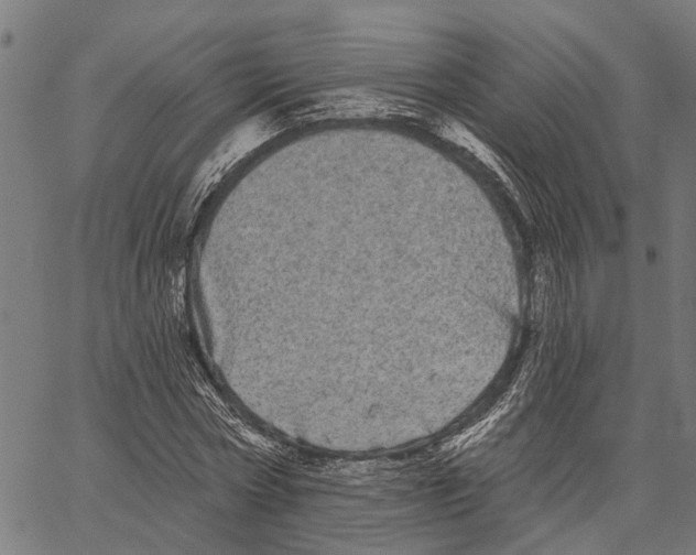 X0000062140778200601060922