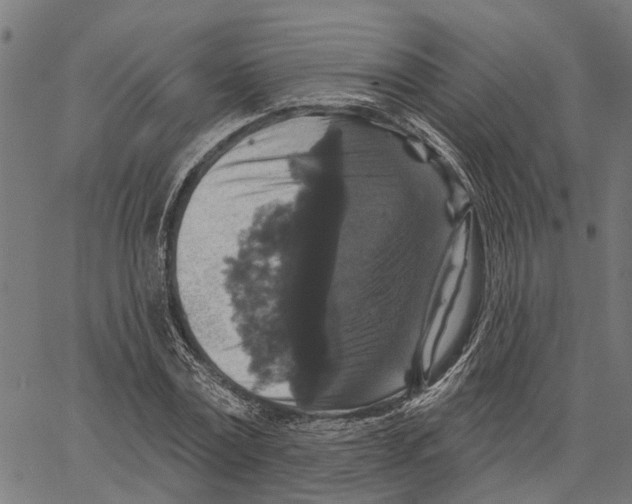 X0000062140779200601060922