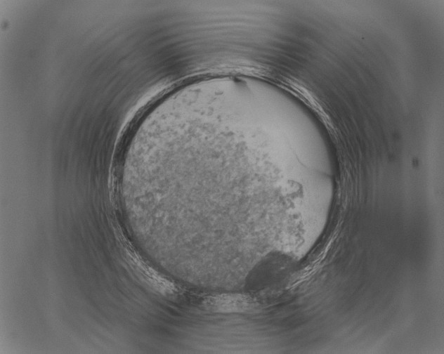 X0000062140780200601060922