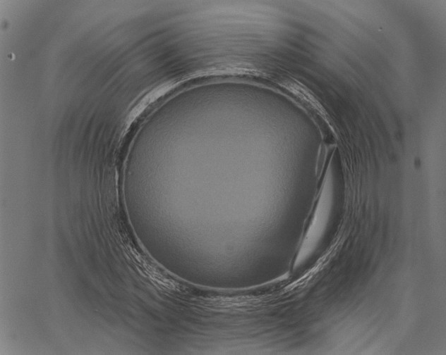 X0000062140781200601060922