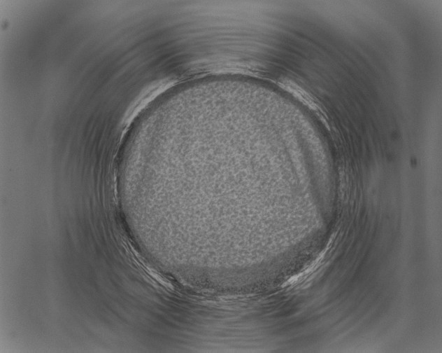 X0000062140782200601060922