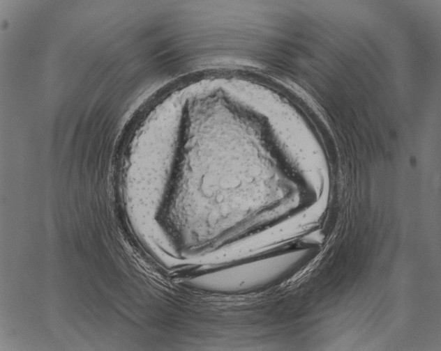 X0000062140783200601060922