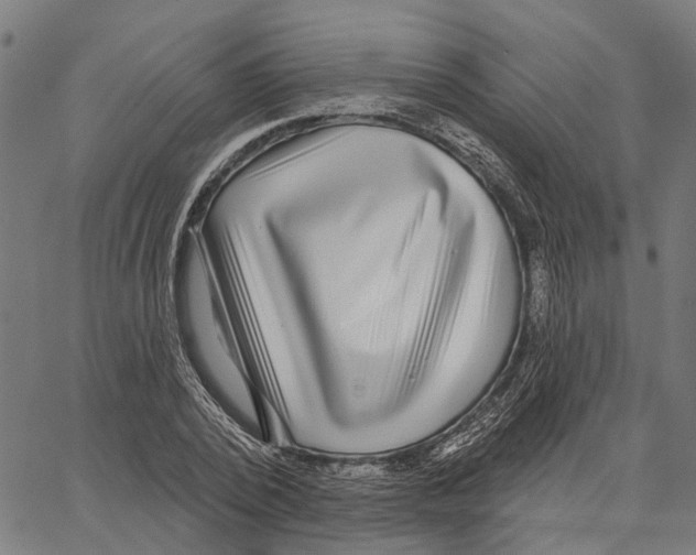 X0000062140784200601060922