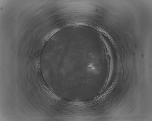 X0000062140785200601060922