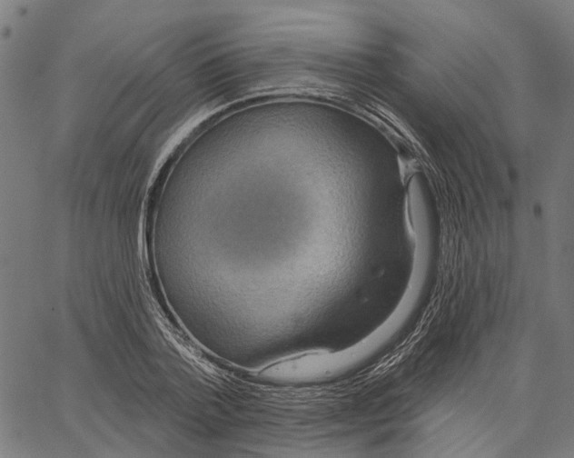 X0000062140788200601060922