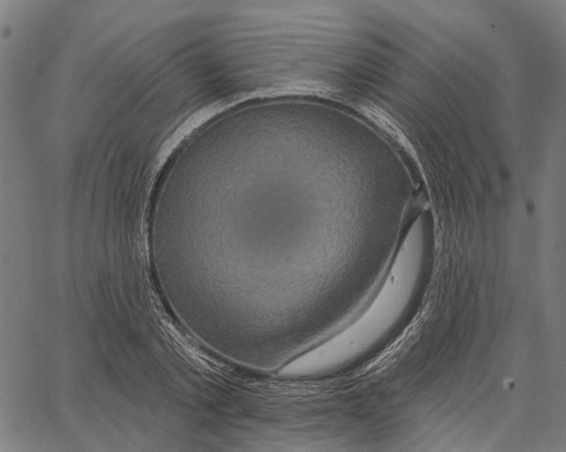 X0000062140789200601060922