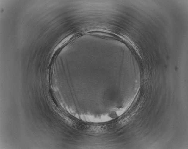 X0000062140790200601060922