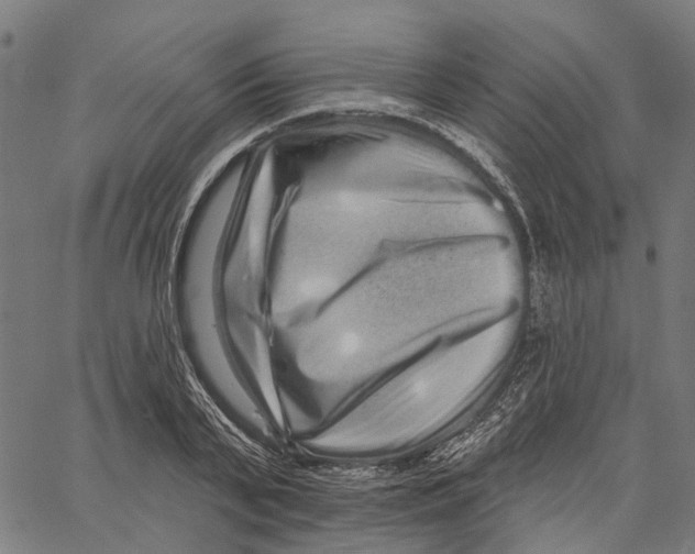 X0000062140791200601060922