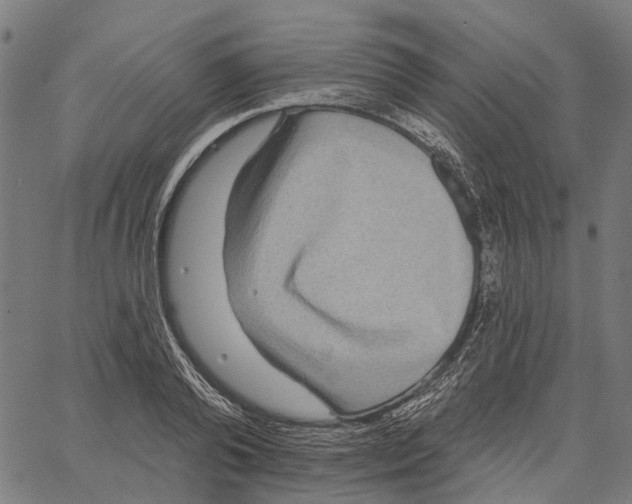 X0000062140792200601060922