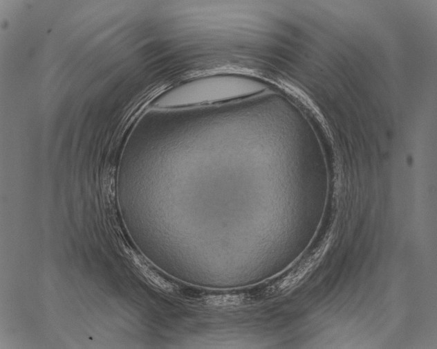 X0000062140793200601060922