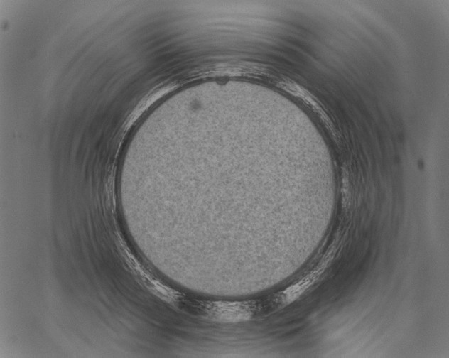 X0000062140794200601060922