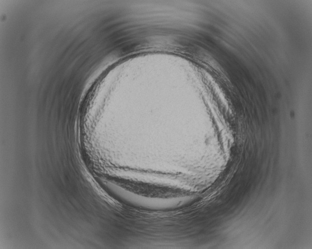 X0000062140796200601060922