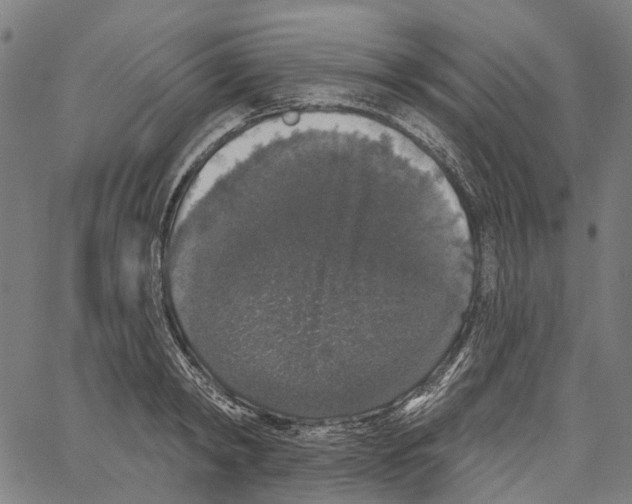 X0000062140798200601060922