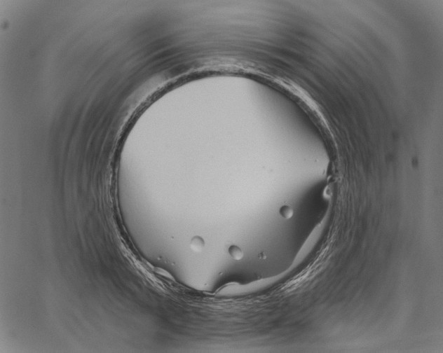 X0000062140799200601060922