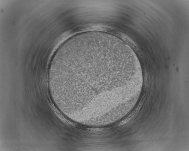 X0000062140800200601060922