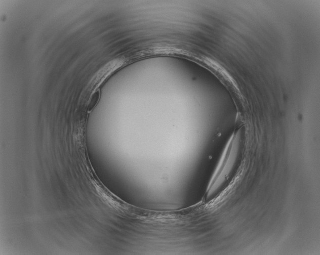 X0000062140801200601060922