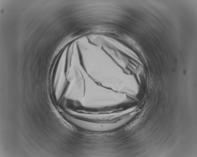 X0000062140803200601060922