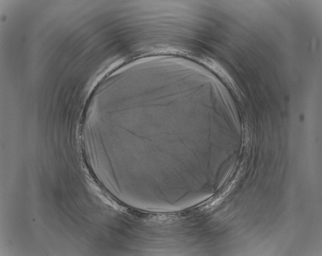 X0000062140806200601060922