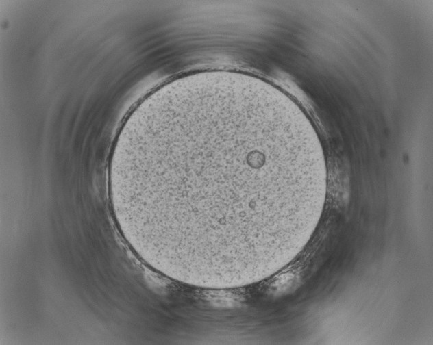 X0000062140807200601060921