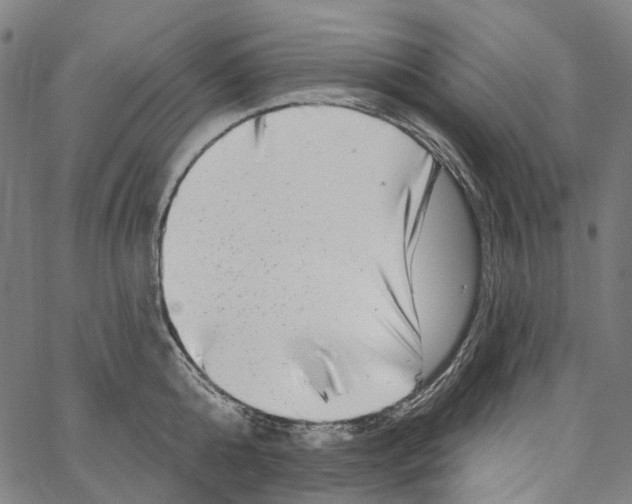 X0000062140808200601060921