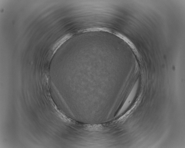 X0000062140809200601060921