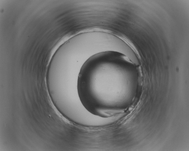 X0000062140813200601060921