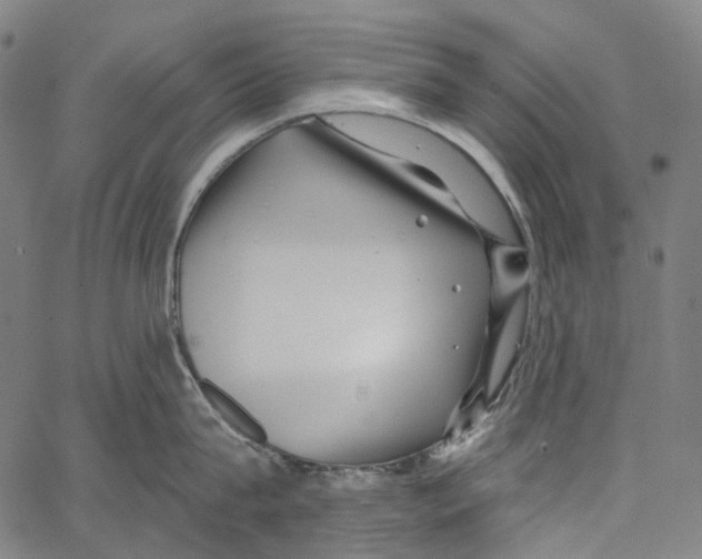 X0000062140815200601060921