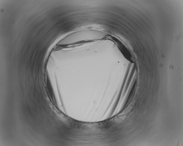 X0000062140816200601060921