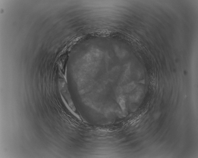 X0000062140818200601060921